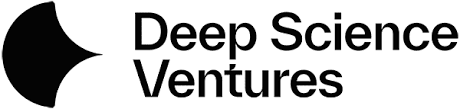 DSV logo
