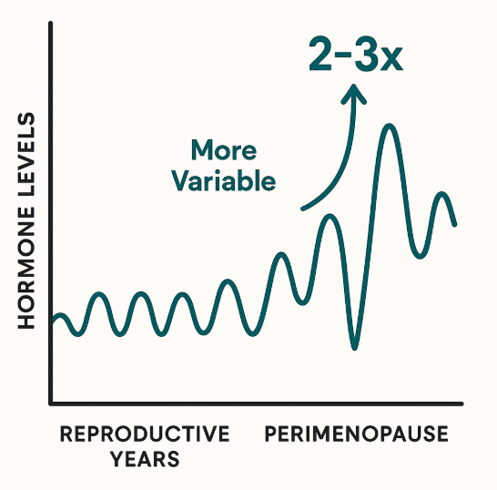 Graph showing hormone levels are more variable during perimenopause with peaks 2–3x higher